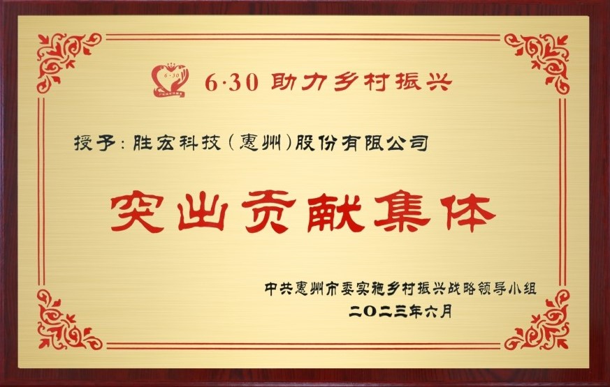 尊龙凯时科技荣获墟落振兴“突出孝顺整体”奖